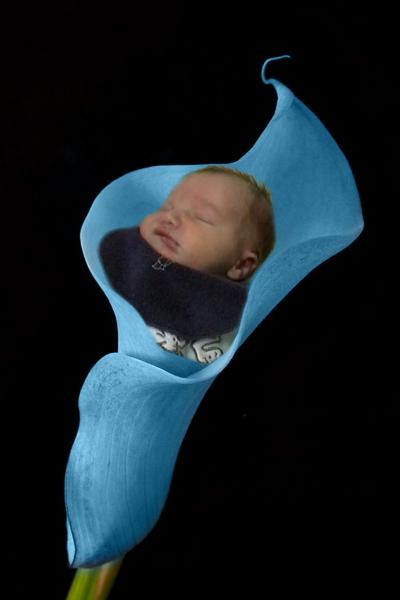 Bild zu hier mal nen süßes foto von lennard - Kinderwunsch - was tun, um schwanger zu werden?