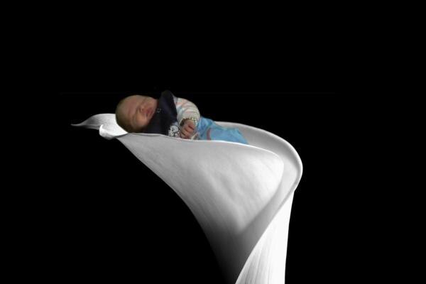Bild zu