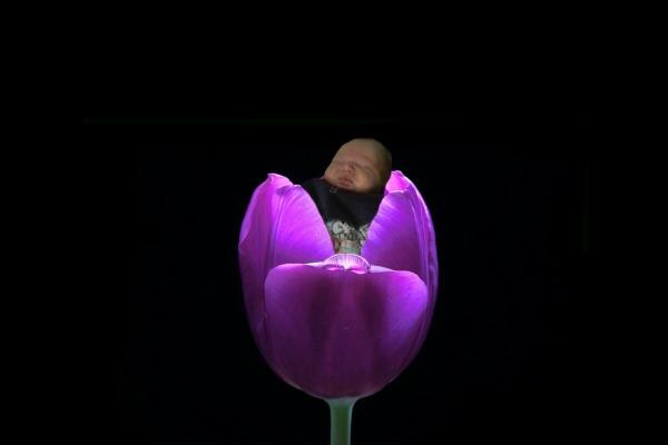 Bild zu