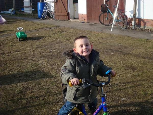 Bild zu