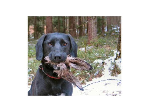 Bild zu Ostern fällt dieses Jahr aus ;o).... - Kinderwunsch - was tun, um schwanger zu werden?