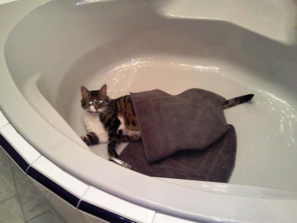 Bild zu 