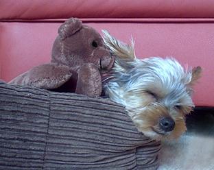 Bild zu