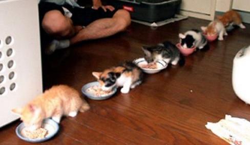 Bild zu Bitte anstellen... - Kinderwunsch - was tun, um schwanger zu werden?