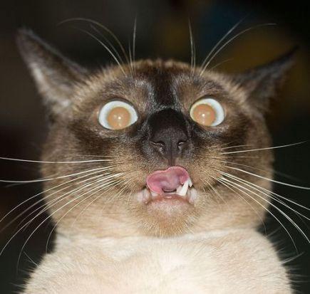 Bild zu MANJO NUR FÜR DICH - Kinderwunsch - was tun, um schwanger zu werden?