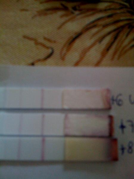 Bild zu Hilfe bei einen Orakel - Kinderwunsch - was tun, um schwanger zu werden?