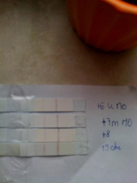 Bild zu Bitte nochmal um Hilfe meines Orakels - Kinderwunsch - was tun, um schwanger zu werden?