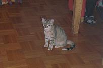 Bild zu @Pepper Foto`s - Kinderwunsch - was tun, um schwanger zu werden?