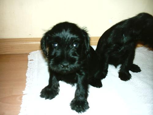 Bild zu sonne22 - Kinderwunsch - was tun, um schwanger zu werden?