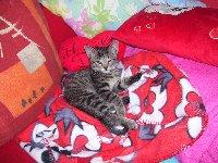 Bild zu das ist mein moritz - Kinderwunsch - was tun, um schwanger zu werden?