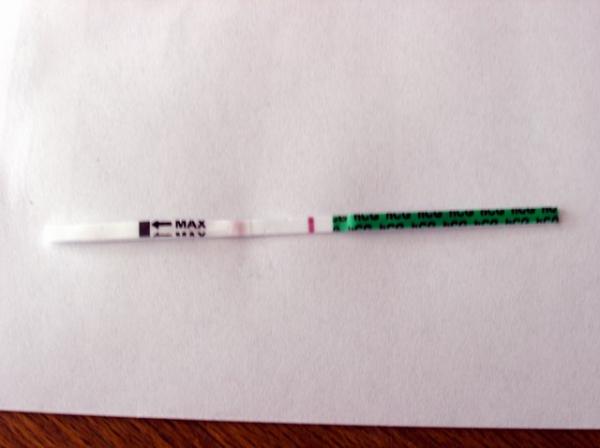 Bild zu Was haltet ihr davon? - Kinderwunsch - was tun, um schwanger zu werden?