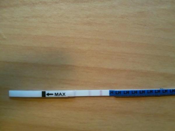 Bild zu Frage Ovulationstest - Kinderwunsch - was tun, um schwanger zu werden?