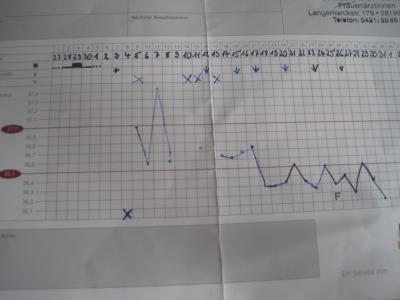 Bild zu Thermometer - Kinderwunsch - was tun, um schwanger zu werden?