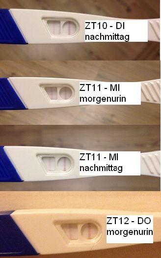 Bild zu Wann war er positiv? - Kinderwunsch - was tun, um schwanger zu werden?