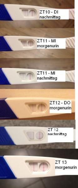 Bild zu Brauche bitte Hilfe... - Kinderwunsch - was tun, um schwanger zu werden?