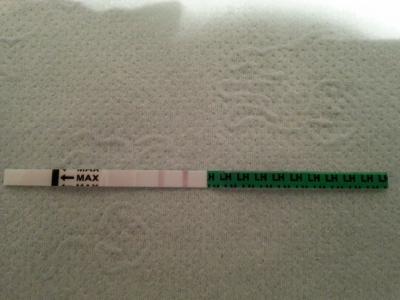 Bild zu Ovu-Test positiv? - Kinderwunsch - was tun, um schwanger zu werden?