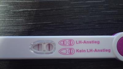 Bild zu Ovulationstest - lieber noch warten oder ran an den Speck? - Kinderwunsch - was tun, um schwanger zu werden?