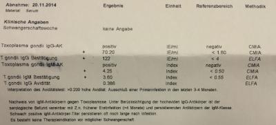 Bild zu Toxoplasmose - Kinderwunsch - was tun, um schwanger zu werden?