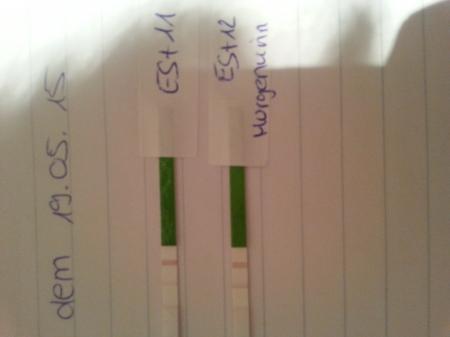 Bild zu 