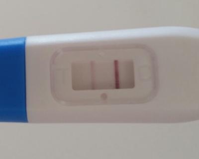 Bild zu Presense Ovulationstests: Erfahrungen - Kinderwunsch - was tun, um schwanger zu werden?