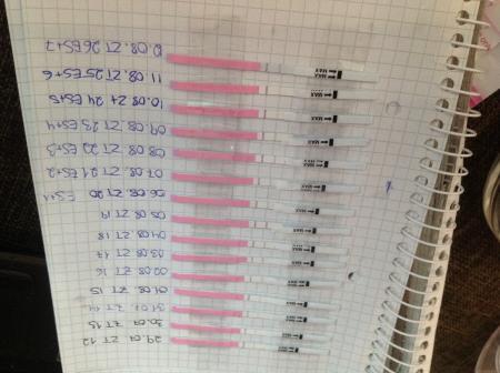 Bild zu