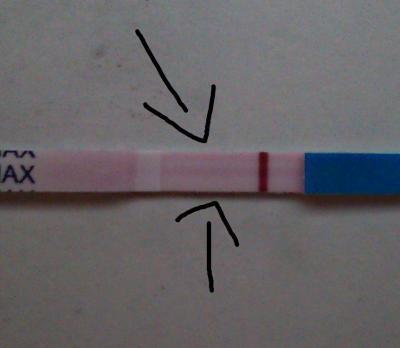 Bild zu SCHWACHE POSITIVE LINIE??! - Kinderwunsch - was tun, um schwanger zu werden?