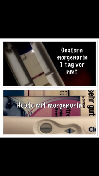 Bild zu Clearblue negativ facelle leicht positiv 25ml - Kinderwunsch - was tun, um schwanger zu werden?