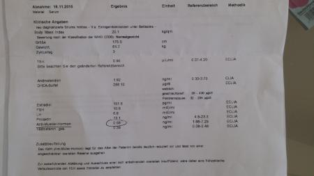 Bild zu 