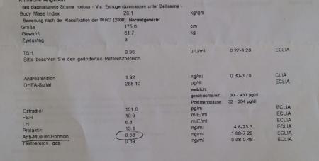Bild zu 