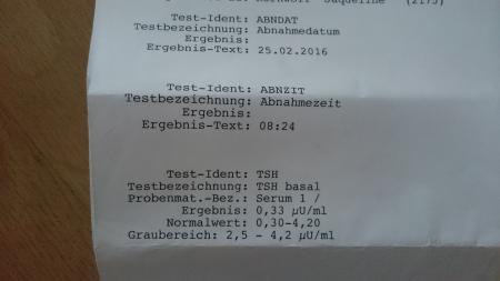 Bild zu 