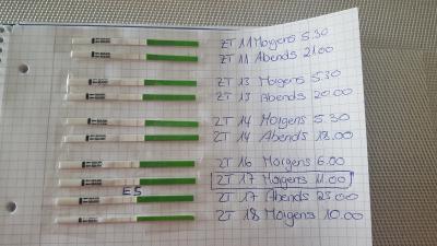 Bild zu Ovutest und timing - Kinderwunsch - was tun, um schwanger zu werden?