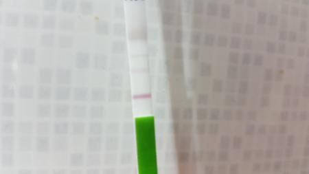 Bild zu Ovulationstest Hilfe - Kinderwunsch - was tun, um schwanger zu werden?