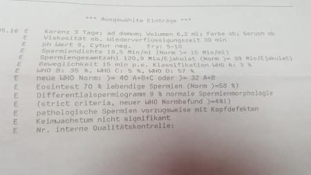Bild zu Spermiogramm meines Partners - Kinderwunsch - was tun, um schwanger zu werden?