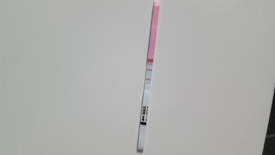 Bild zu Orakel bei Es+9 - Kinderwunsch - was tun, um schwanger zu werden?