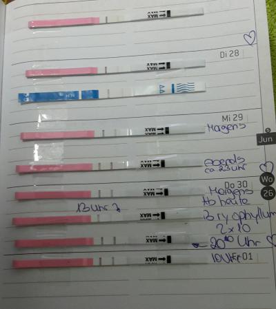 Bild zu Zyklus - brauche euren rat - Kinderwunsch - was tun, um schwanger zu werden?