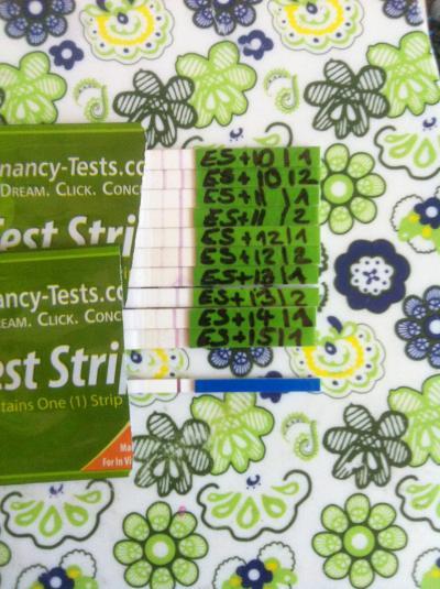 Bild zu Ovu Test Anfaenger bittet um Hilfe - Kinderwunsch - was tun, um schwanger zu werden?