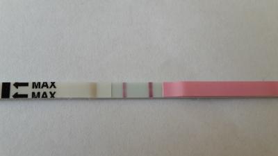 Bild zu Geht noch mehr? - Kinderwunsch - was tun, um schwanger zu werden?