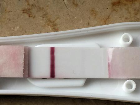 Bild zu Hilfe 😣 - Kinderwunsch - was tun, um schwanger zu werden?