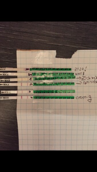 Bild zu Diese ovus sind gemein Wielange bleiben die positiv ? - Kinderwunsch - was tun, um schwanger zu werden?