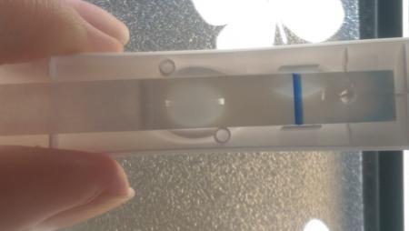 Bild zu nmt+7 - Kinderwunsch - was tun, um schwanger zu werden?