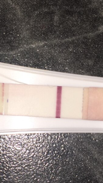 Bild zu Ungültig ? Verdunstungslinie? - Kinderwunsch - was tun, um schwanger zu werden?