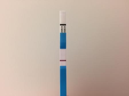 Bild zu Jetzt aber: Testergebnis - Kinderwunsch - was tun, um schwanger zu werden?