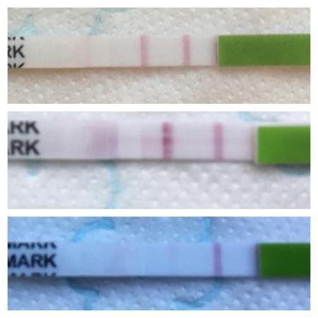 Bild zu 1Zyklus Ovus - leichter als gedacht - Kinderwunsch - was tun, um schwanger zu werden?