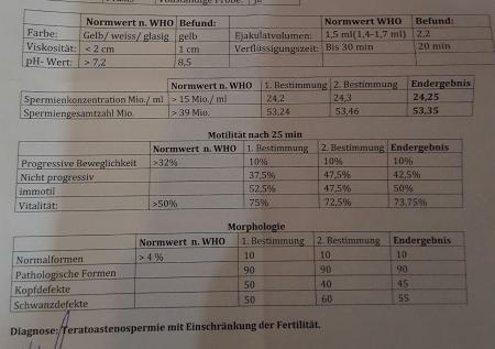 Bild zu Spermiogramm auswertung - Kinderwunsch - was tun, um schwanger zu werden?