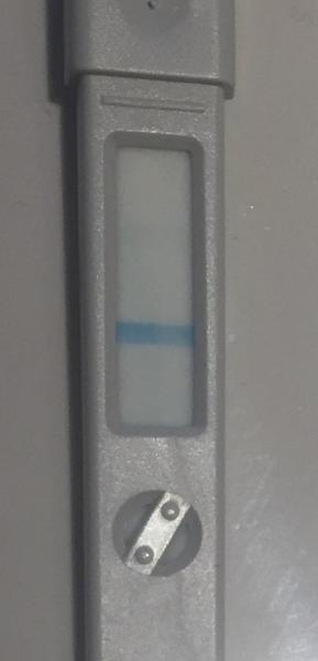 Bild zu Ovulationstest ES+12 - Kinderwunsch - was tun, um schwanger zu werden?
