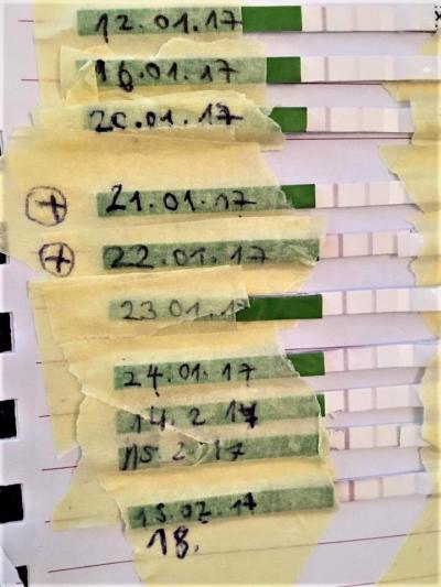 Bild zu SST negativ - Ovus positiv - Kinderwunsch - was tun, um schwanger zu werden?