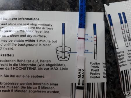 Bild zu One Step - Kinderwunsch - was tun, um schwanger zu werden?