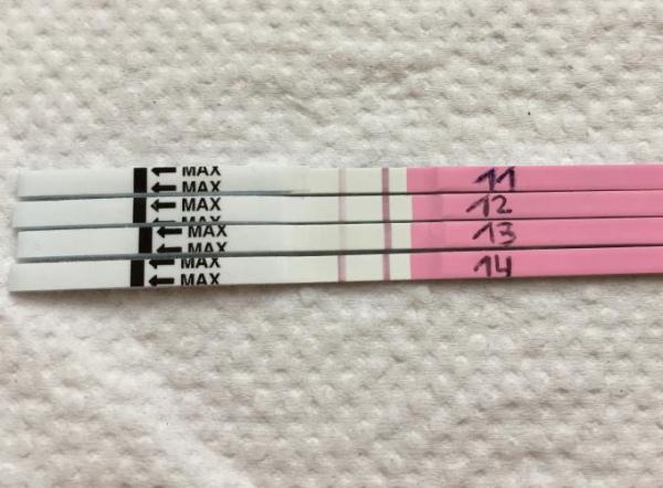 Bild zu Ovulationstest Ergebnis - Kinderwunsch - was tun, um schwanger zu werden?