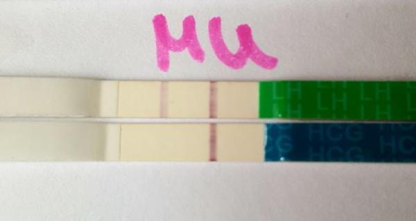 Bild zu Adleraugen gesucht! - Kinderwunsch - was tun, um schwanger zu werden?