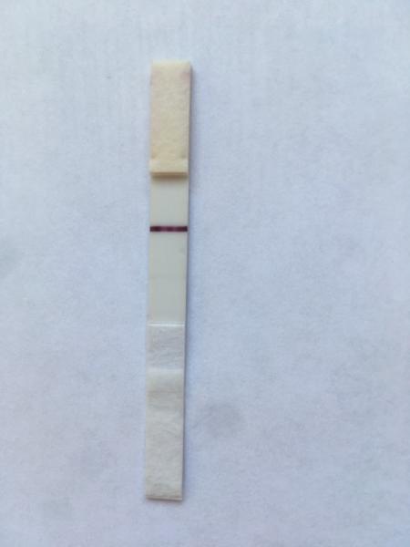 Bild zu Facelle 2. Linie + Clearblue negativ - Kinderwunsch - was tun, um schwanger zu werden?